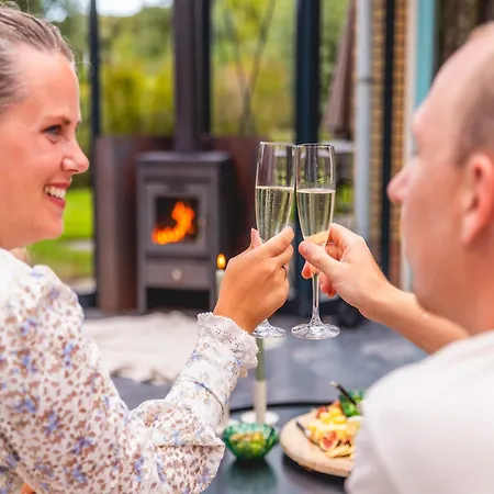 In Netherlands Near Scenic Parks Villa *