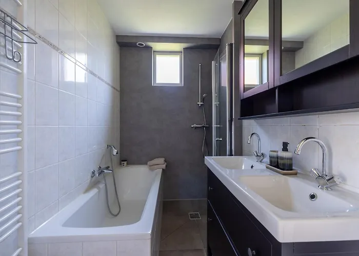 In Netherlands Near Scenic Parks